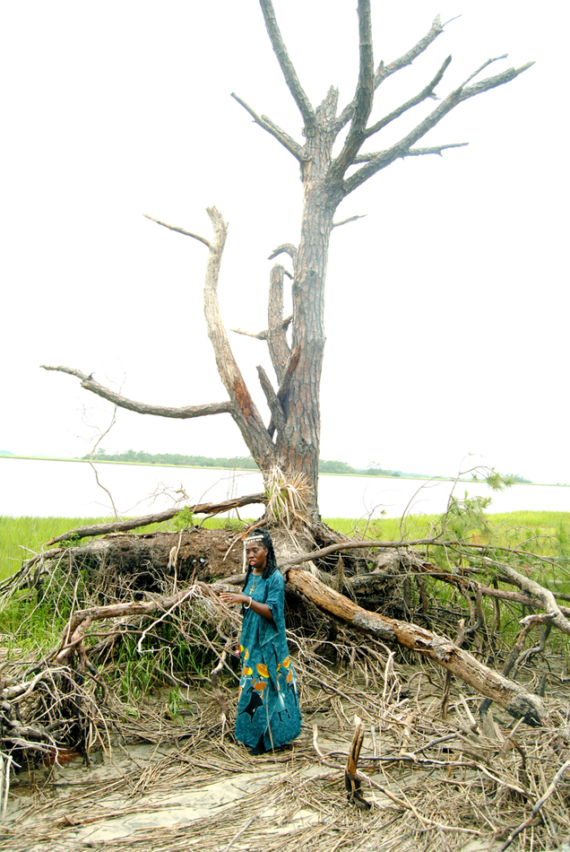Illustration for article titled Gullah-Geechee Community: Hear Us On Climate Change